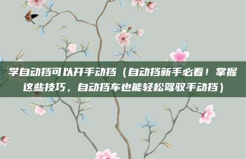 学自动挡可以开手动挡(自动挡新手必看!掌握这些技巧,自动挡车也能轻松驾驭手动挡)