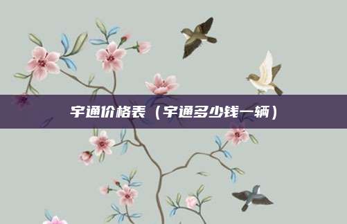 宇通价格表(宇通多少钱一辆)