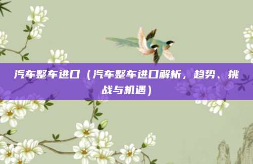 汽车整车进口(汽车整车进口解析,趋势、挑战与机遇)