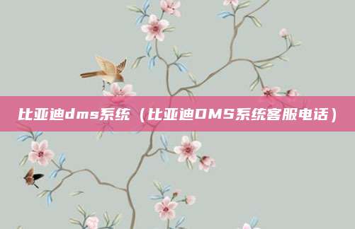 比亚迪dms系统(比亚迪DMS系统客服电话)