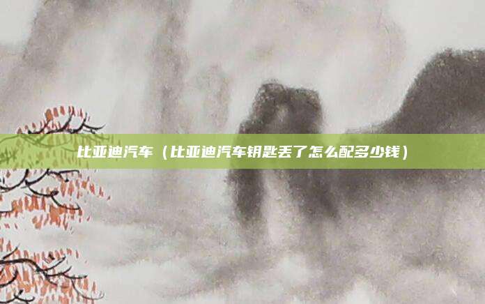 比亚迪汽车(比亚迪汽车钥匙丢了怎么配多少钱)