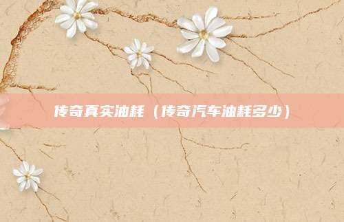 传奇真实油耗(传奇汽车油耗多少)