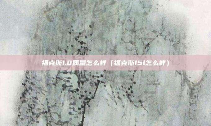 福克斯1.0质量怎么样（福克斯15l怎么样）