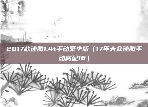 2017款速腾1.4t手动豪华版(17年大众速腾手动高配16)