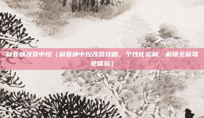 利亚纳改装中控(利亚纳中控改装攻略,个性化定制,解锁全新驾驶体验)