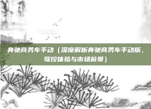 奔驰商务车手动(深度解析奔驰商务车手动版,驾控体验与市场前景)