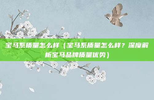 宝马系质量怎么样(宝马系质量怎么样?深度解析宝马品牌质量优势)