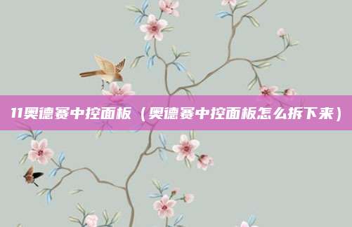 11奥德赛中控面板(奥德赛中控面板怎么拆下来)