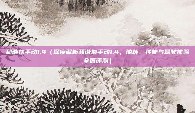 和谐灰手动1.4(深度解析和谐灰手动1.4,油耗、性能与驾驶体验全面评测)