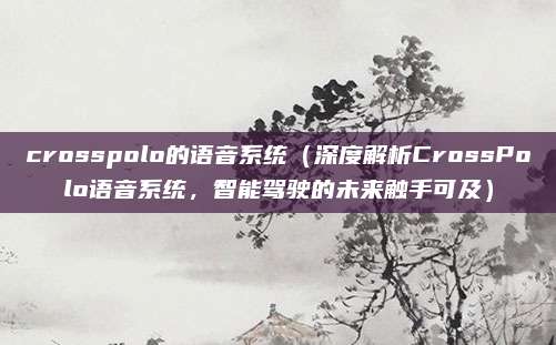 crosspolo的语音系统(深度解析CrossPolo语音系统,智能驾驶的未来触手可及)