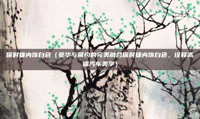 保时捷内饰白色(豪华与简约的完美融合保时捷内饰白色,诠释高端汽车美学)