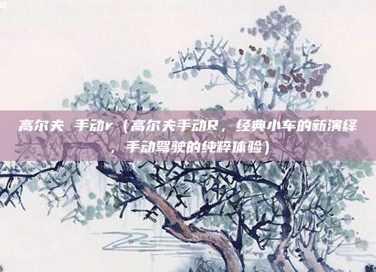 高尔夫 手动r(高尔夫手动R,经典小车的新演绎,手动驾驶的纯粹体验)
