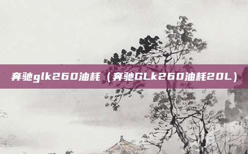 奔驰glk260油耗(奔驰GLk260油耗20L)