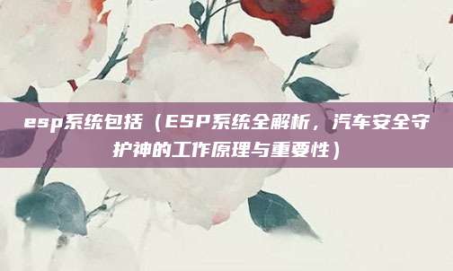 esp系统包括(ESP系统全解析,汽车安全守护神的工作原理与重要性)