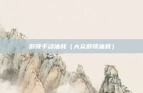 蔚领手动油耗(大众蔚领油耗)