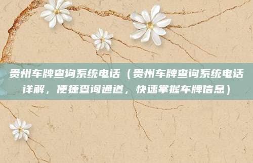 贵州车牌查询系统电话(贵州车牌查询系统电话详解,便捷查询通道,快速掌握车牌信息)