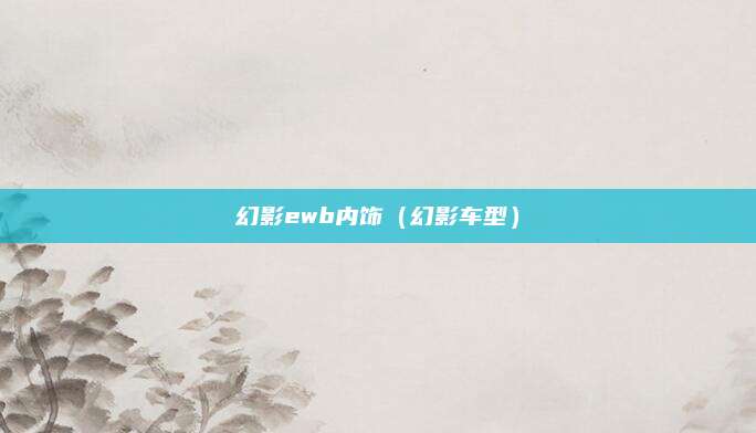 幻影ewb内饰(幻影车型)