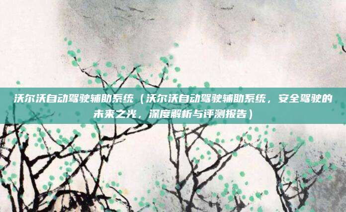 沃尔沃自动驾驶辅助系统(沃尔沃自动驾驶辅助系统,安全驾驶的未来之光,深度解析与评测报告)