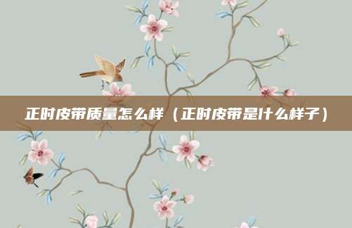 正时皮带质量怎么样(正时皮带是什么样子)