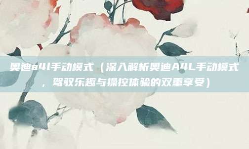 奥迪a4l手动模式(深入解析奥迪A4L手动模式,驾驭乐趣与操控体验的双重享受)