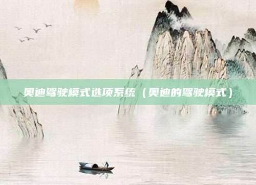 奥迪驾驶模式选项系统(奥迪的驾驶模式)