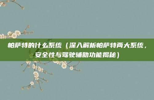 帕萨特的什么系统(深入解析帕萨特两大系统,安全性与驾驶辅助功能揭秘)