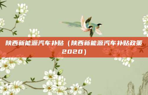 陕西新能源汽车补贴(陕西新能源汽车补贴政策2020)