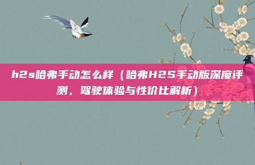 h2s哈弗手动怎么样（哈弗H2S手动版深度评测，驾驶体验与性价比解析）