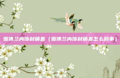 雪佛兰内饰材质差(雪佛兰内饰材质差怎么回事)