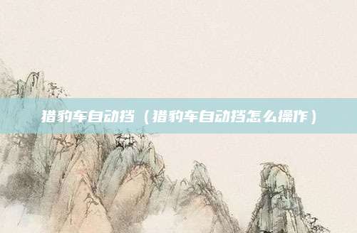 猎豹车自动挡(猎豹车自动挡怎么操作)