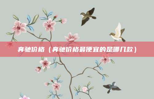 奔驰价格(奔驰价格最便宜的是哪几款)