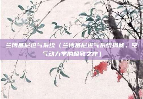 兰博基尼进气系统(兰博基尼进气系统揭秘,空气动力学的极致之作)