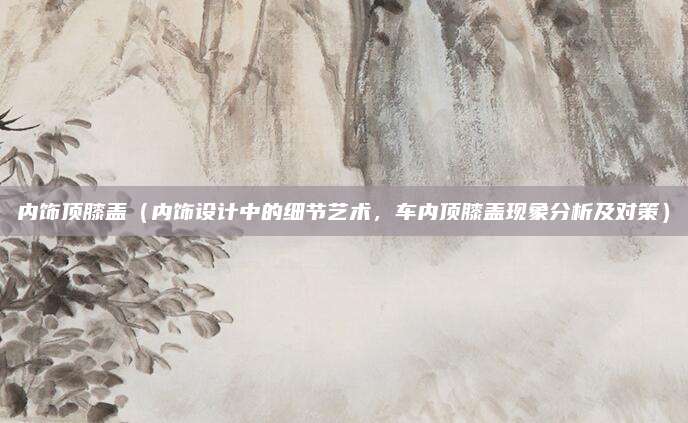 内饰顶膝盖(内饰设计中的细节艺术,车内顶膝盖现象分析及对策)