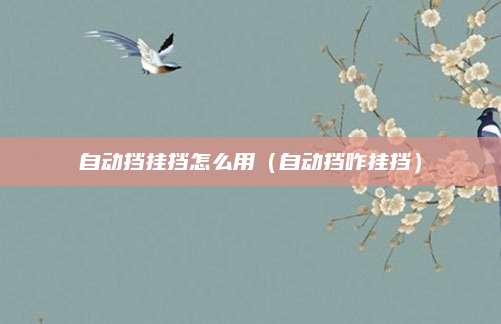 自动挡挂挡怎么用(自动挡咋挂挡)