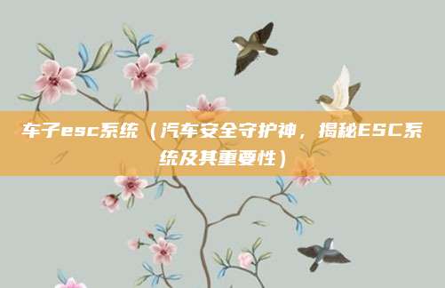 车子esc系统（汽车安全守护神，揭秘ESC系统及其重要性）