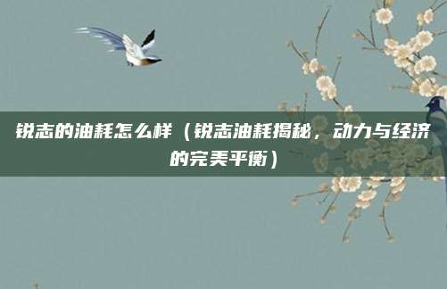 锐志的油耗怎么样(锐志油耗揭秘,动力与经济的完美平衡)