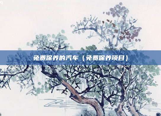 免费保养的汽车(免费保养项目)