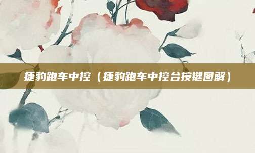 捷豹跑车中控（捷豹跑车中控台按键图解）