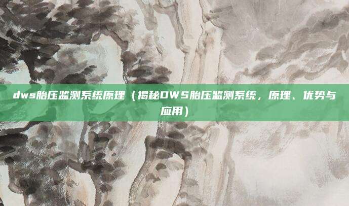 dws胎压监测系统原理（揭秘DWS胎压监测系统，原理、优势与应用）