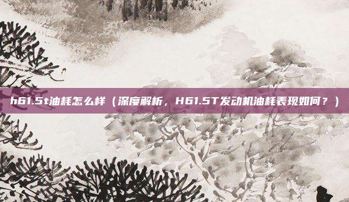 h61.5t油耗怎么样(深度解析,H61.5T发动机油耗表现如何?)