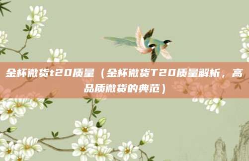 金杯微货t20质量(金杯微货T20质量解析,高品质微货的典范)