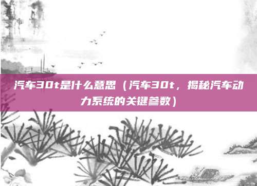 汽车30t是什么意思(汽车30t,揭秘汽车动力系统的关键参数)