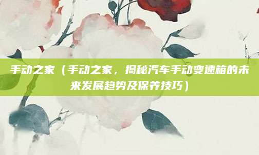 手动之家(手动之家,揭秘汽车手动变速箱的未来发展趋势及保养技巧)