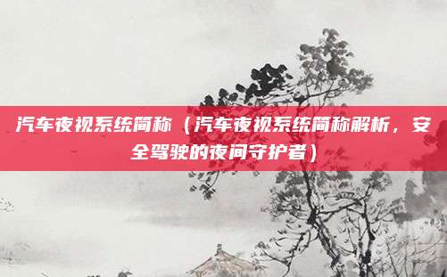 汽车夜视系统简称(汽车夜视系统简称解析,安全驾驶的夜间守护者)