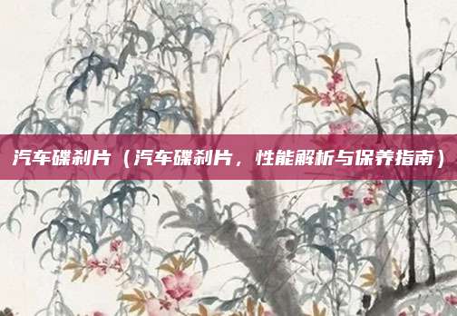 汽车碟刹片(汽车碟刹片,性能解析与保养指南)
