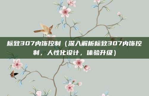 标致307内饰控制(深入解析标致307内饰控制,人性化设计,体验升级)