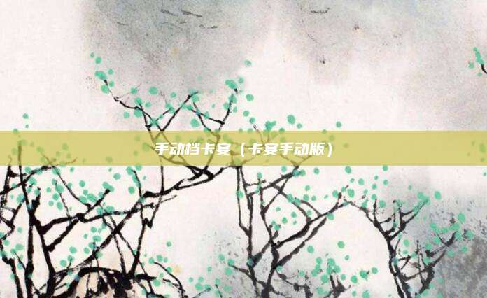 手动档卡宴(卡宴手动版)