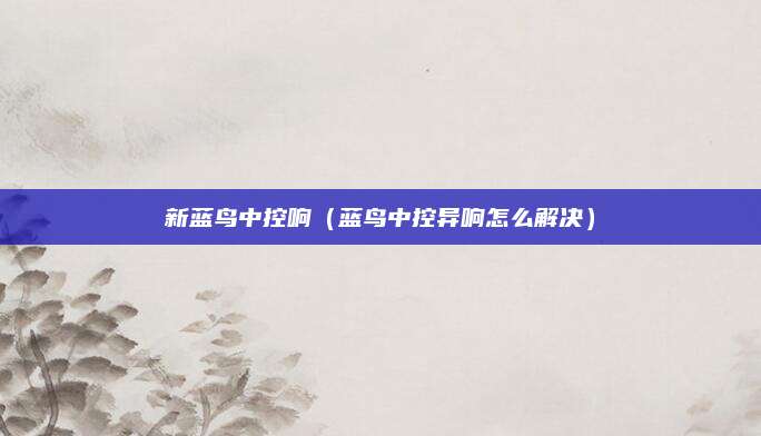 新蓝鸟中控响(蓝鸟中控异响怎么解决)