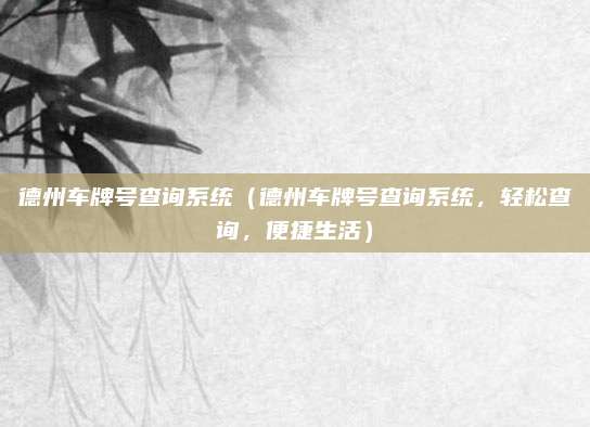 德州车牌号查询系统(德州车牌号查询系统,轻松查询,便捷生活)