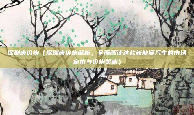 深圳唐价格(深圳唐价格解析,全面解读这款新能源汽车的市场定位与价格策略)